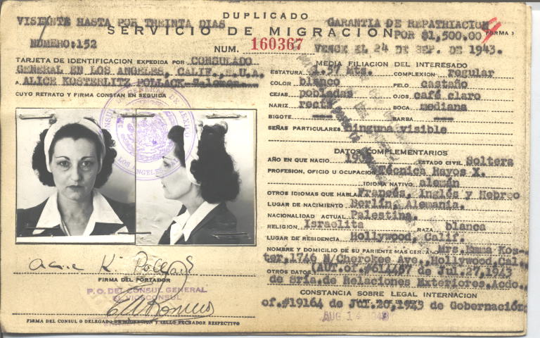 Alice Kosterlitz Pollack