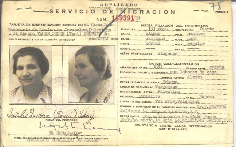 Dwore Krupnik de Taube