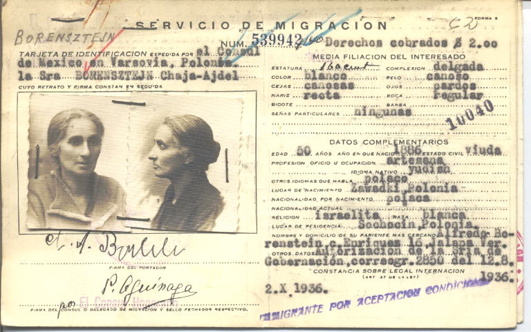 Chaja Ajdel Borenstejn