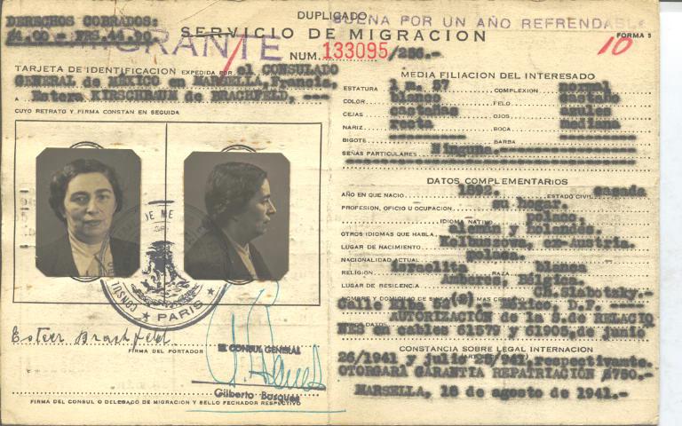 Estera Brachfeld Kirschabaum de