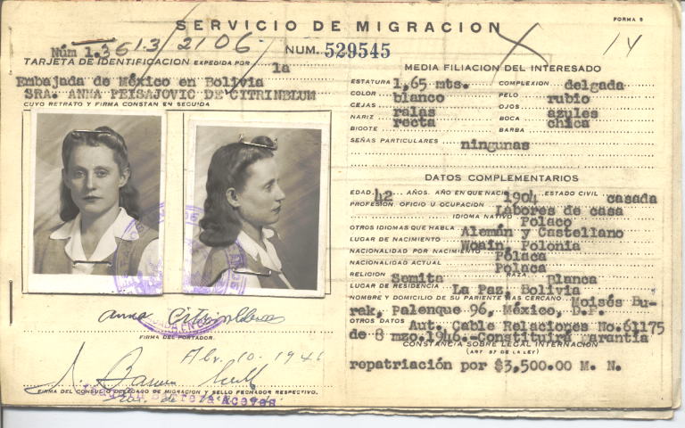 Ana Citrinblum, Peisajovic de