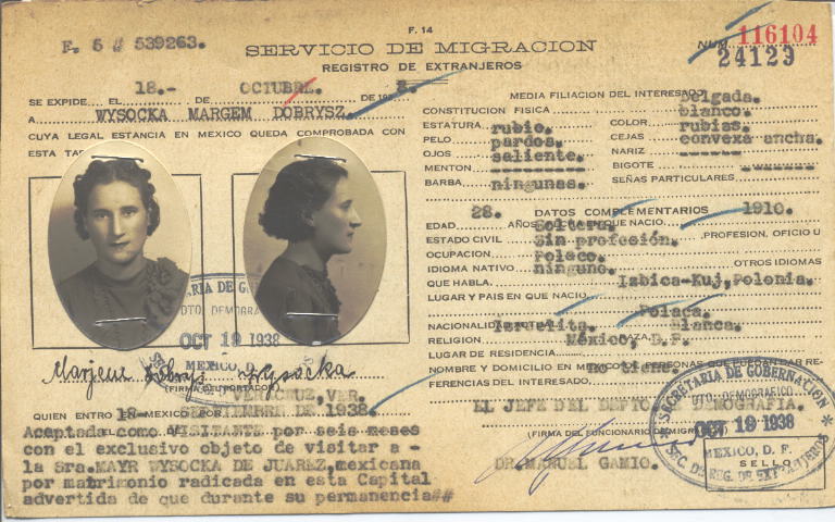 Wysocka Margem Dobrysz