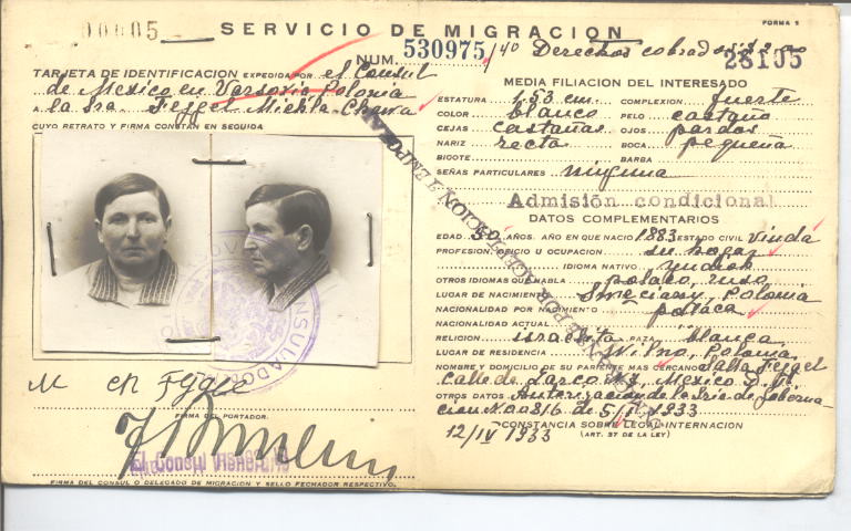 Michla-Chawa Fejgel Lapidus vda de