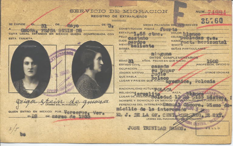 Fejga Gmora, Stein de