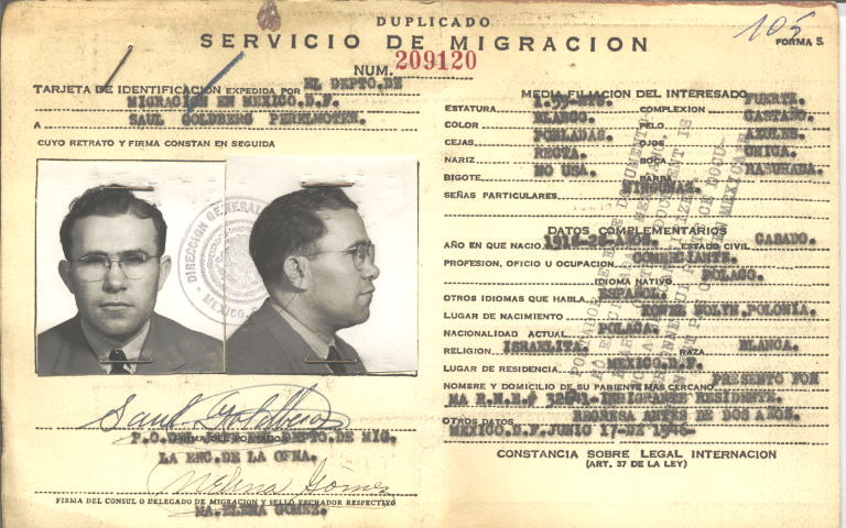 Saúl Goldberg Perelmoter