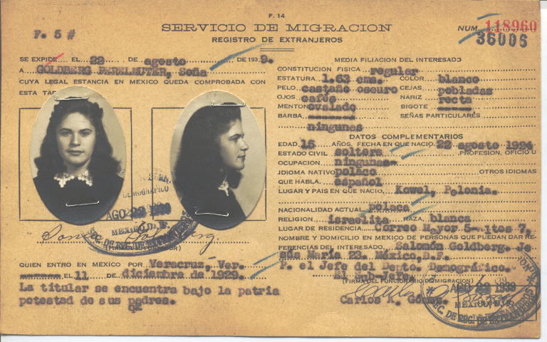 Sonia Goldberg Perelmuter