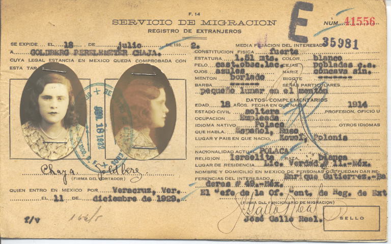 Chaja Goldberg Perelemeter