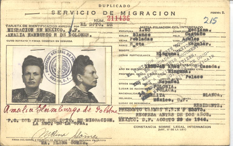 Amalia Goldner, Hamburgo de