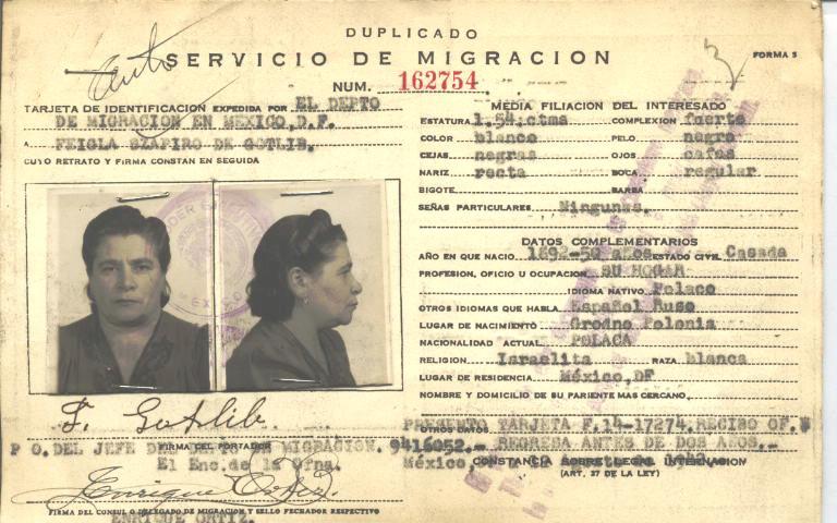 Feigla Gotlib, Szapiro de