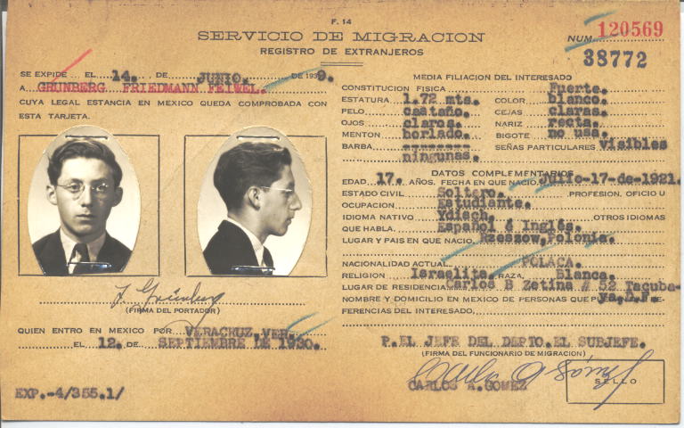 Feiwel Grunberg Friedmann