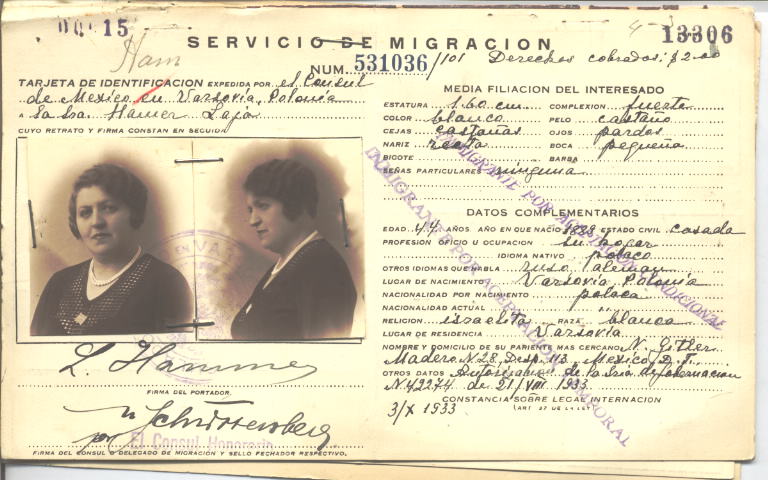 Laja Hammer, Zelazo de