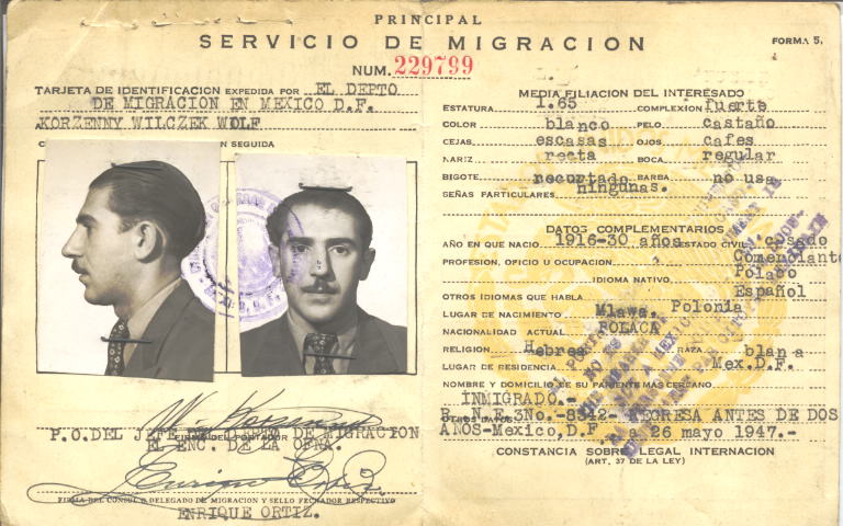 Wolf Korzenny Wilczek