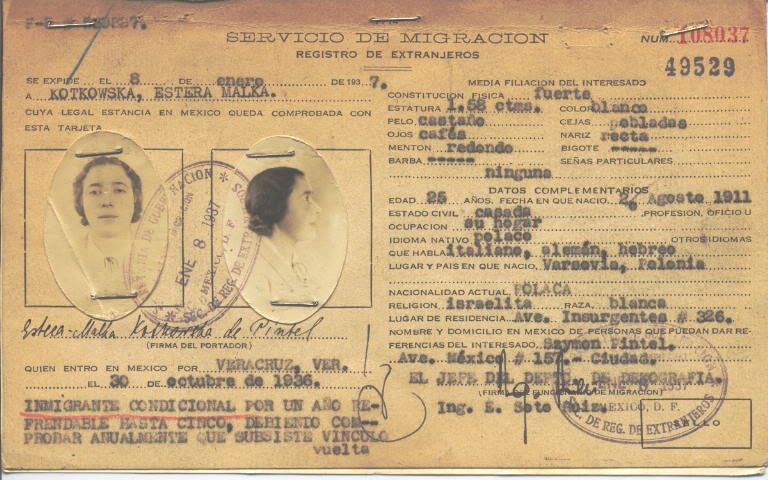 Estera Malka Kotkowska