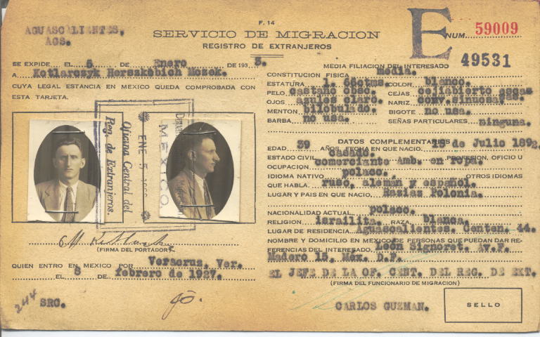 Mozek Kotlarezyk Herszkobich