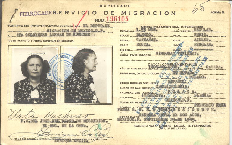 Ata Golfeder Kushner Lehmann de