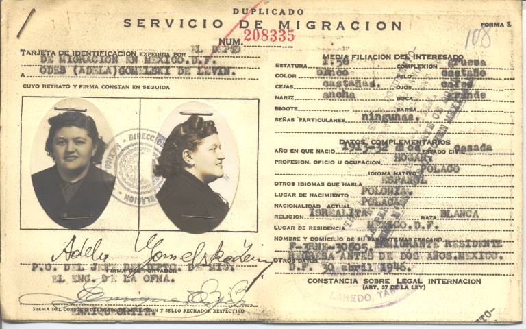 Odes Levin, Gomelski de