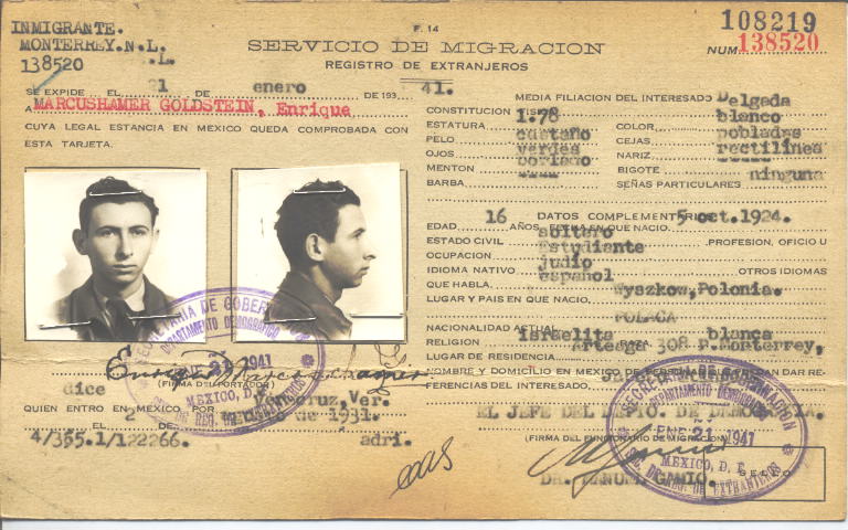 Enrique Marcushamer Goldstein