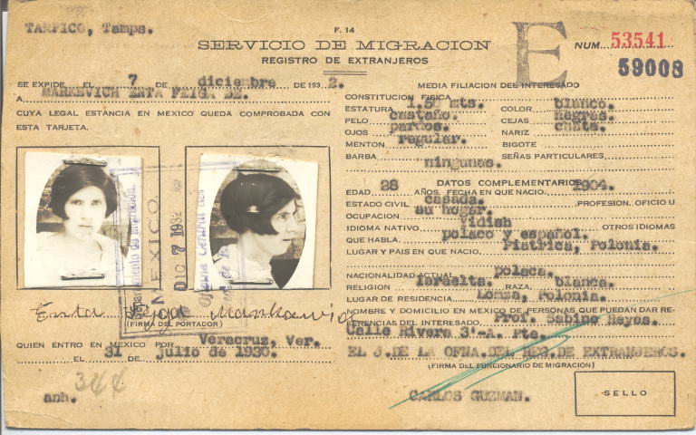 Enta Feiga Markevich de