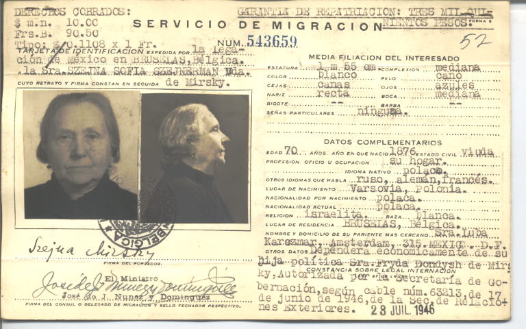 Szejna Sofia Mirsky, Szejnerman vda. De