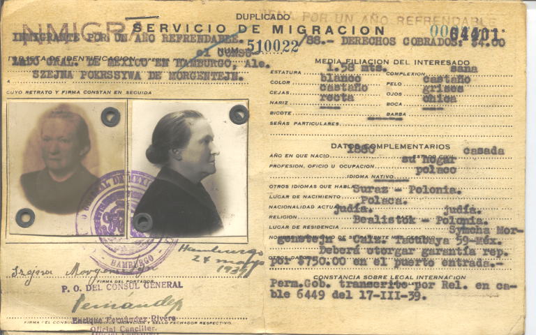 Pokrswa Morgensztejn, Sokolowska de