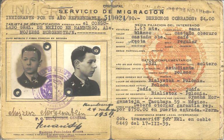 Mojzesz Morgenstern Pokssywa