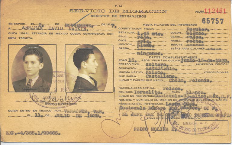 Abraham David Naikin