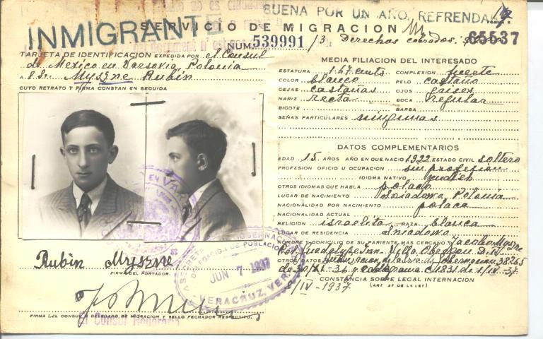 Rubin Myszne Orzechowski