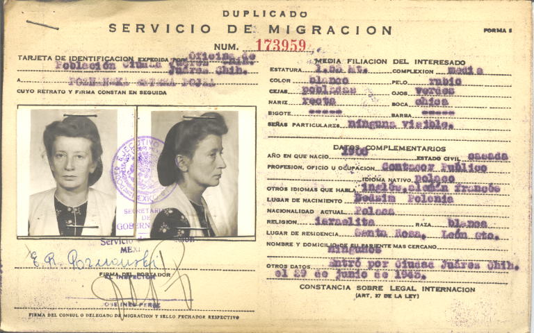 Pojza Poznanzka Setka