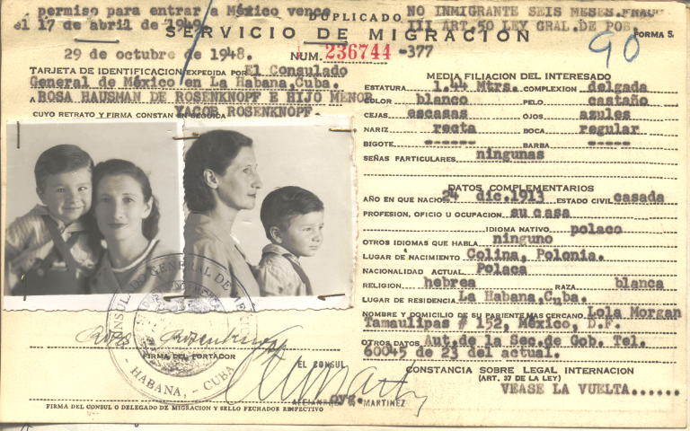 Rosa Rosenknopf, Hausman de