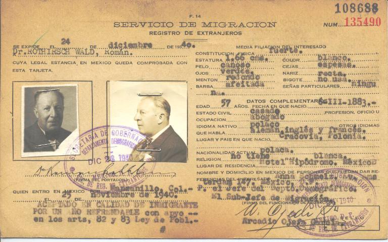 Roman Rothirsch Wald