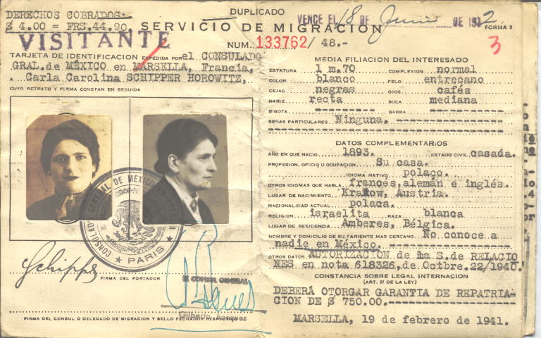 Carla Carolina Schipper Horowitz