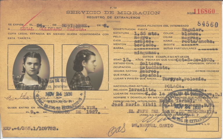 Bertha Segal Goldfard