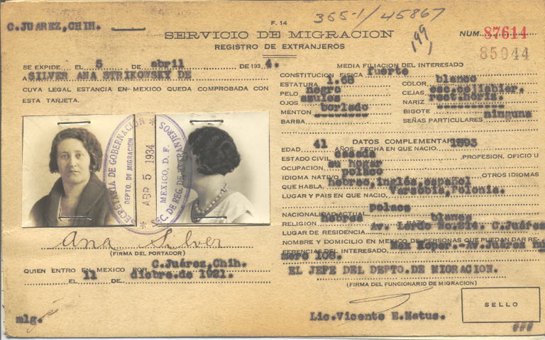 Ana Silver, Strikowsky de