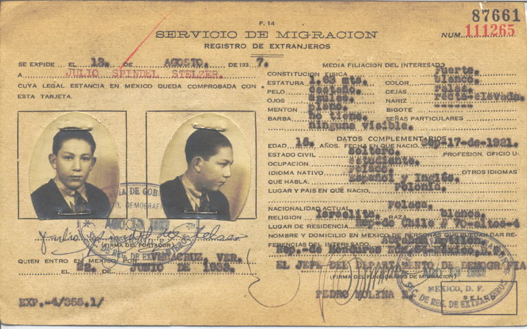 Julio Spindel Stelzer