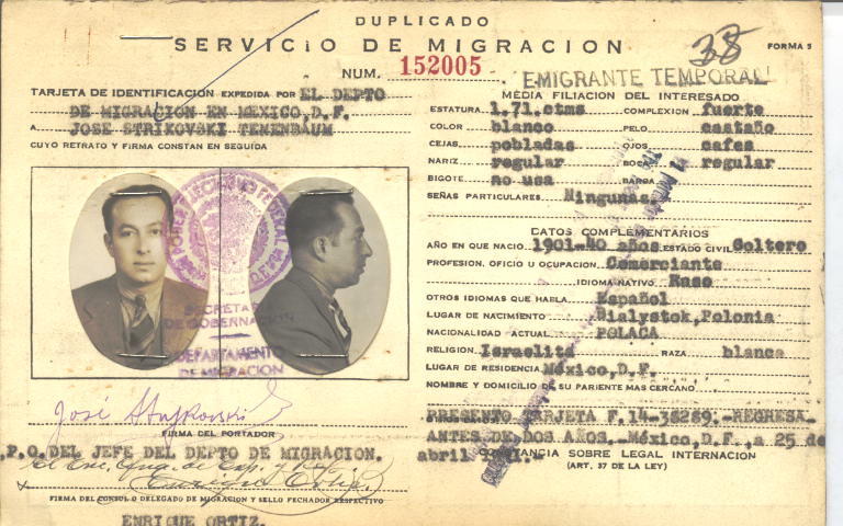 José Strikovski Tenebaum