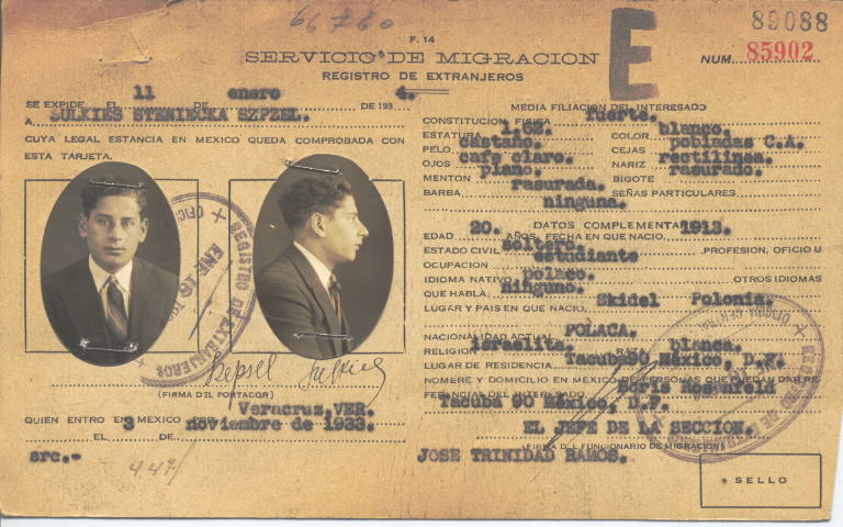 Szpzel Sulkies Steniecka