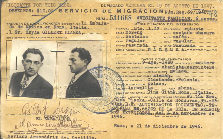 Pianka Szyja Gilbert