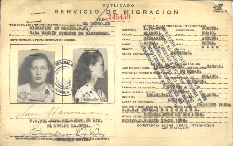 Sara Nankin Wasserman, Dychter de