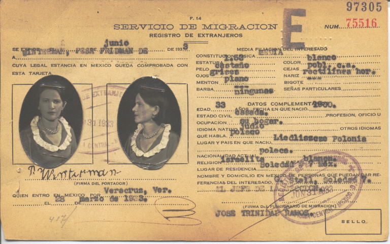 Pesa Winterman, Fridman de