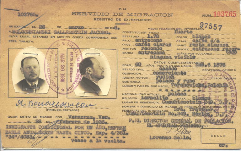 Jacobo Wolochwianski Gallerstein