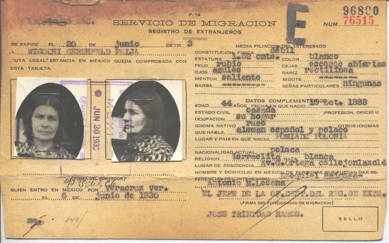 Feija Wigochi Gershfeld