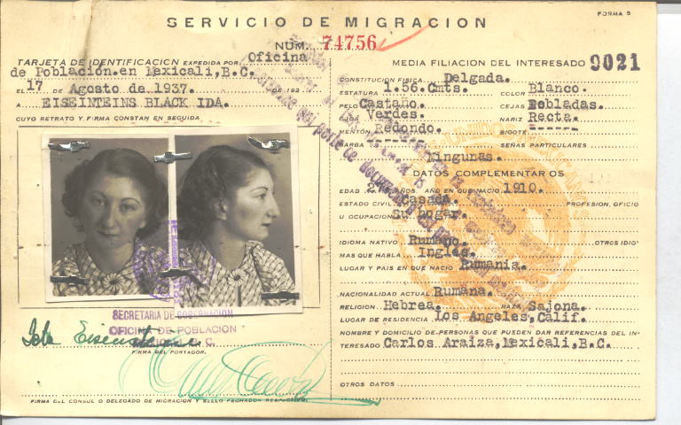 Ida Eiseinteins Black