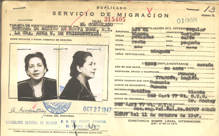 Anna Friedenstein de