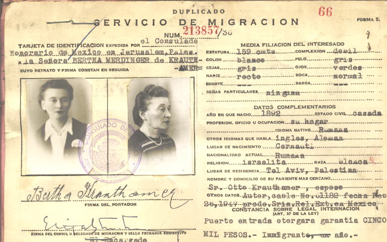 Bertha Merdinger de Krauthamer