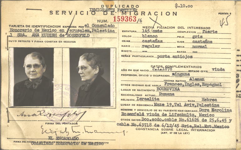 Ana Rosenfeld Kudish de