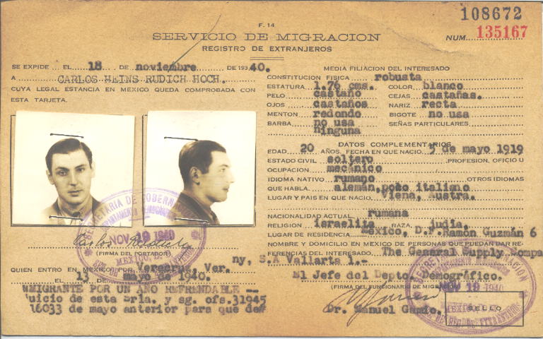 Carlos Rudich Hoch Heins