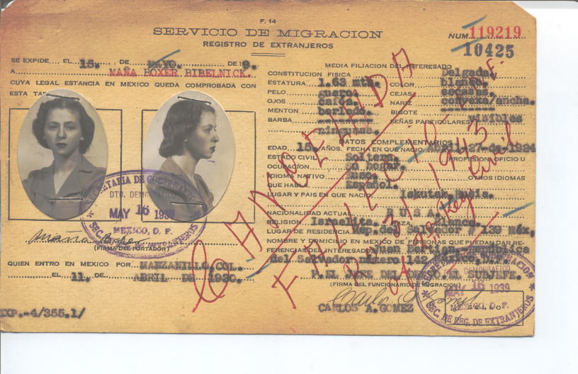 Maña Boxer Bibelnick