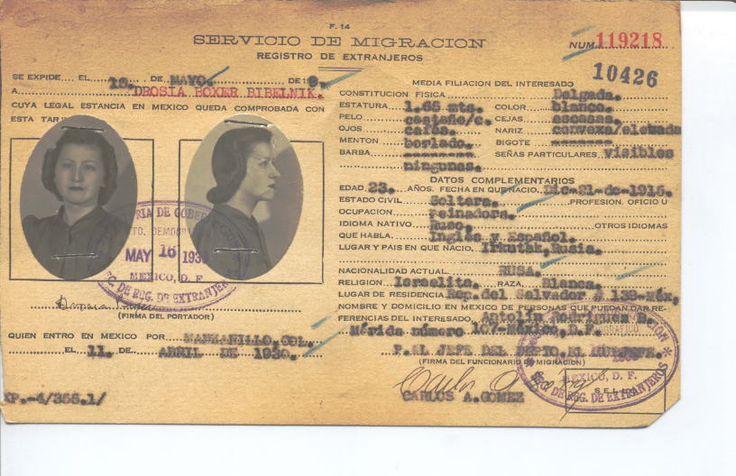 Drosia Boxer Bibelnik