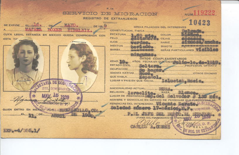 Majama Boxer Bibelnik