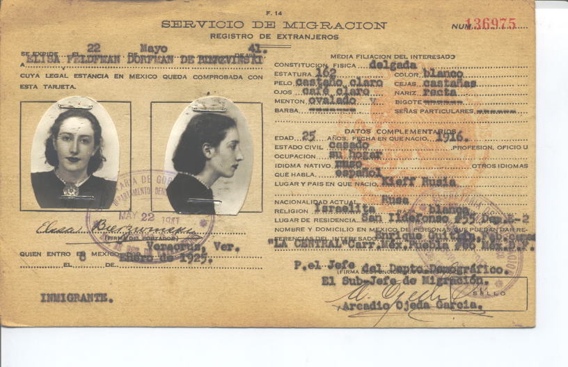 Elisa Feldman de Bierzvinski